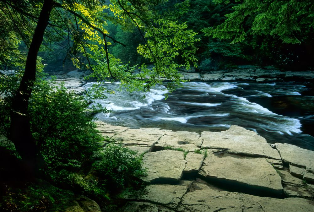 Rapids of Youghiogheny River