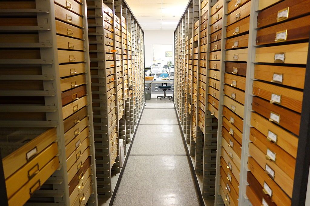 Interior of Bohart Museum of Entomology