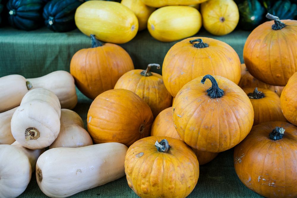 Fresh produce at Davis Farmer’s Market