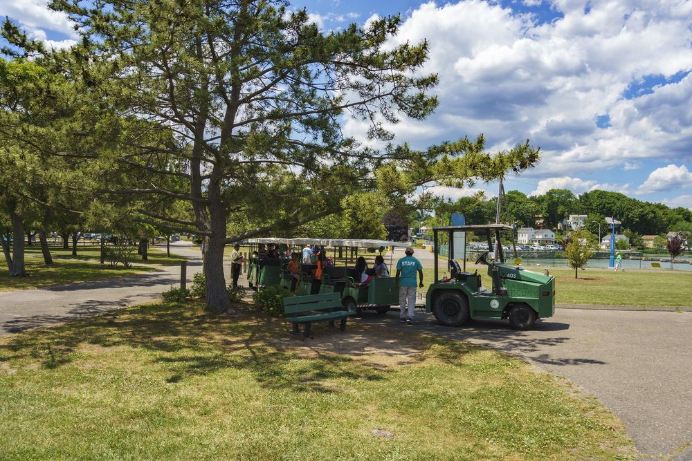 People riding a trolley at Cove Island Park