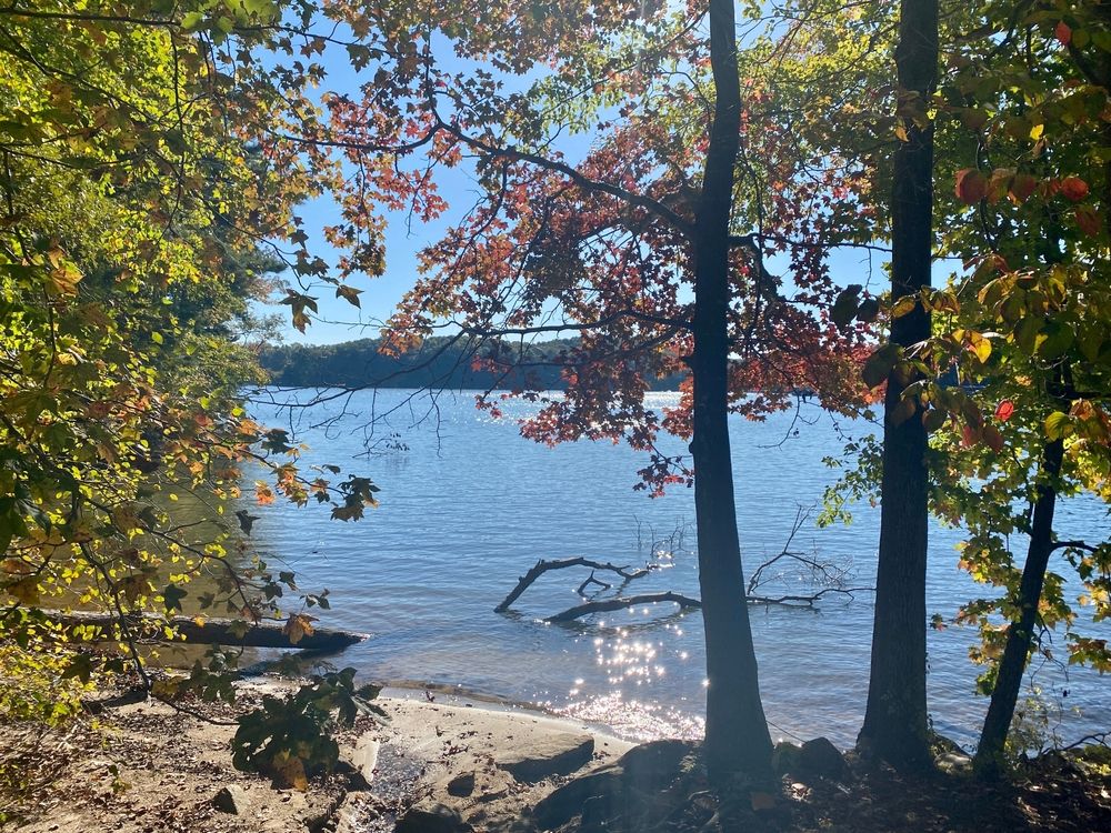 View of Lake Lanier
