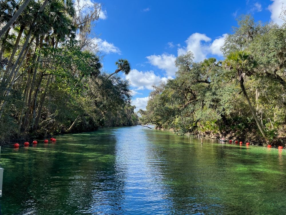 The waters of Blue Spring State Park