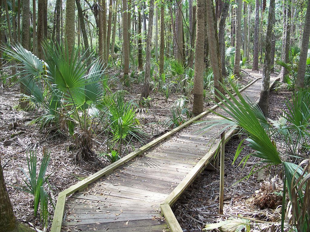 Boardwalk at Hontoon Island State Park