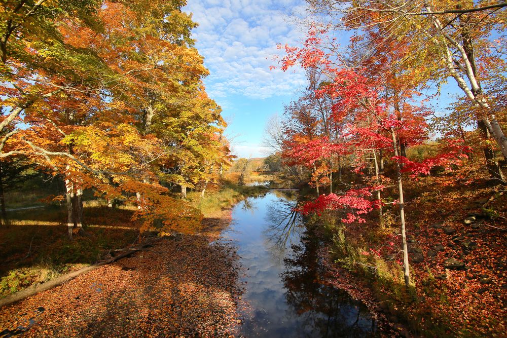 The waters of Windham Mountain