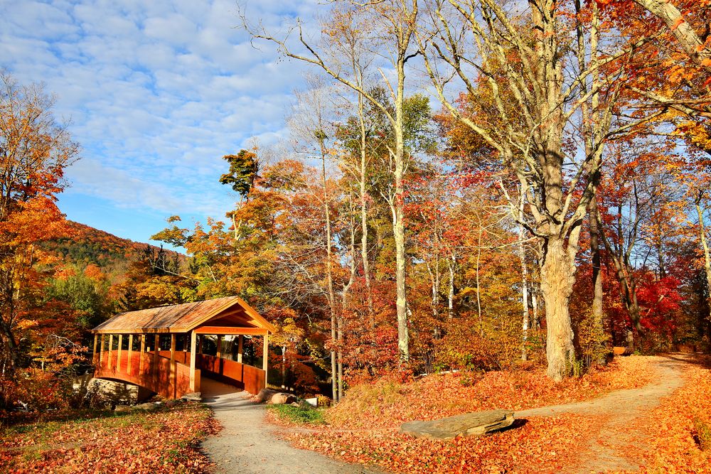 Fall scene at Windham Mountain