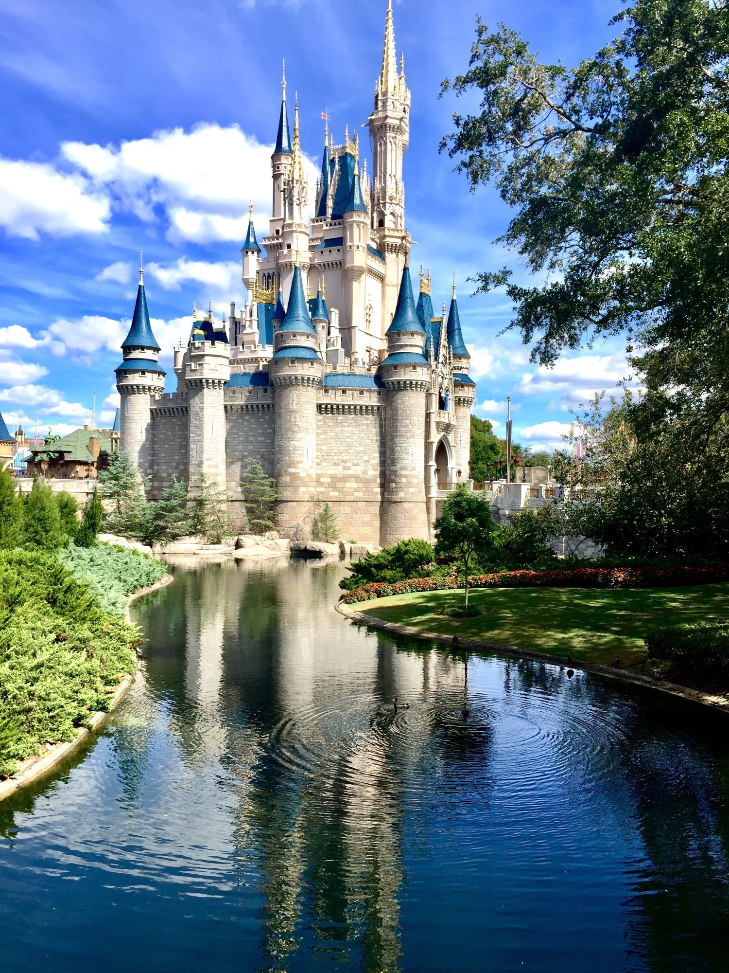 Orlando, FL