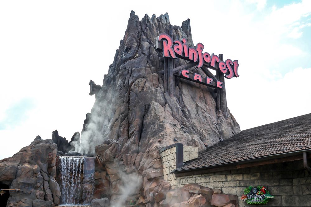 Name sign of The Rainforest Cafe