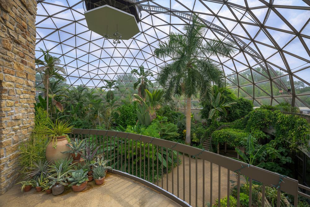 Interior of the Greater Des Moines Botanical Garden