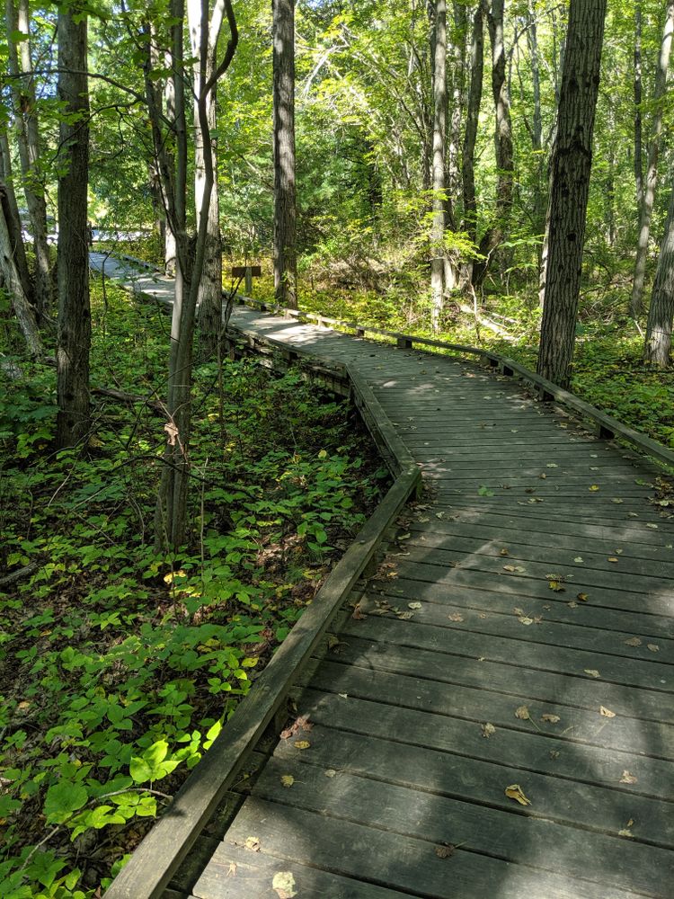 Boardwalk trail at Great Bay National Wildlife Refuge