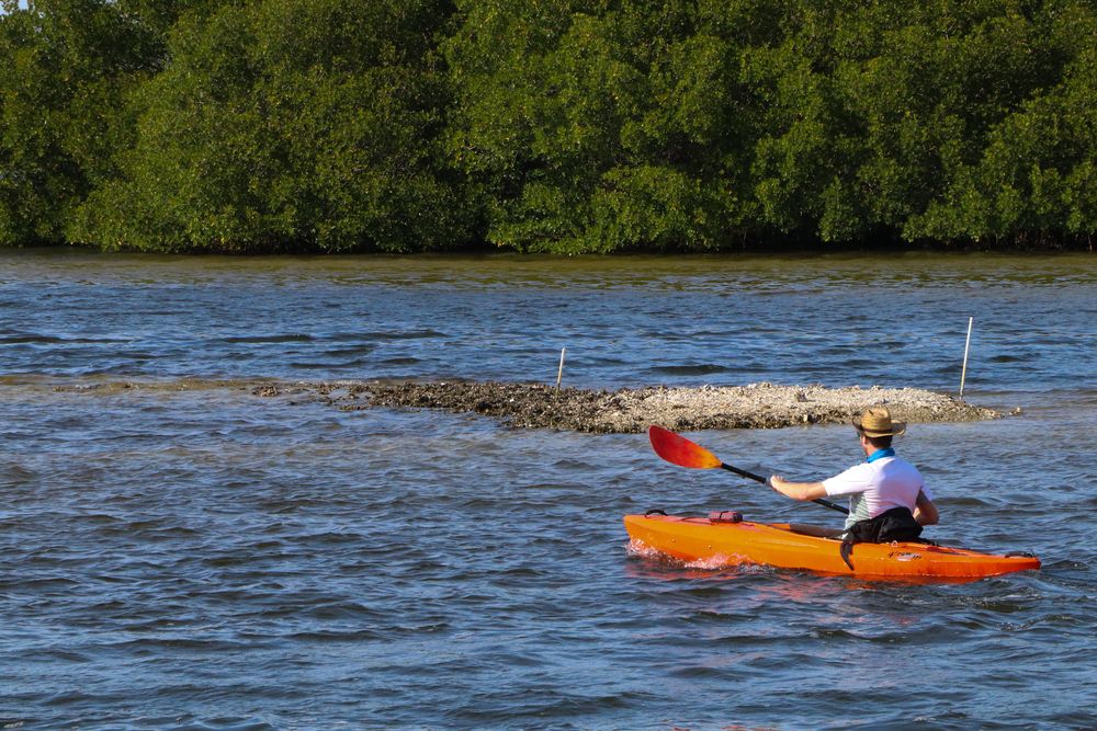 Kayaking in Matlacha, Florida