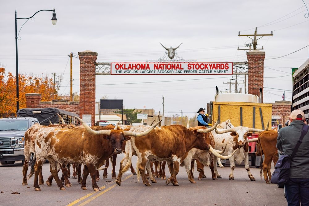 Welcome arch of Stockyards City