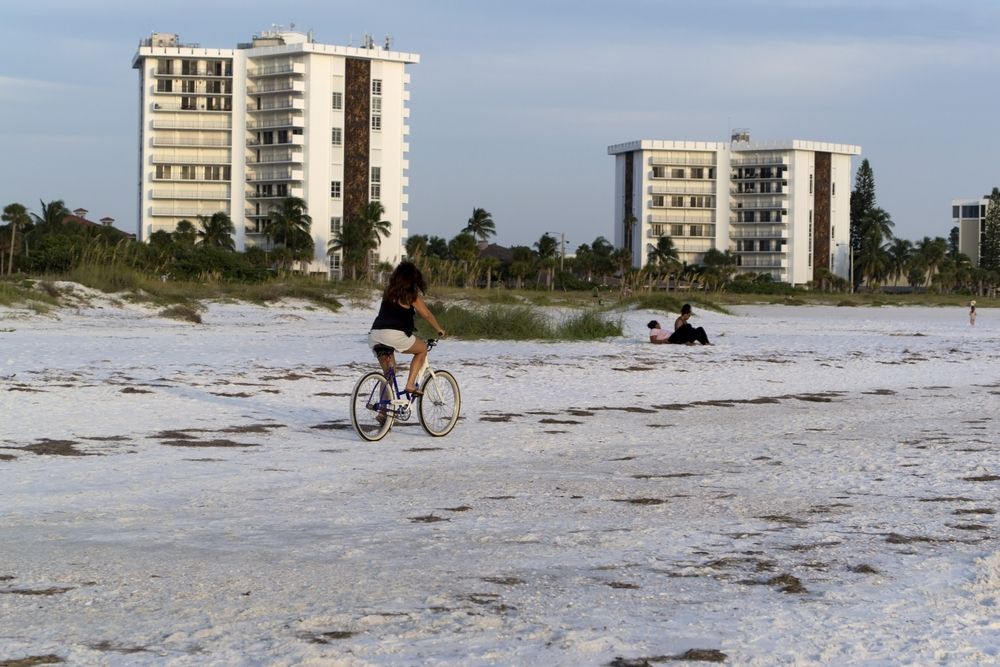 A person riding a bike along Lido Key Beach's shore