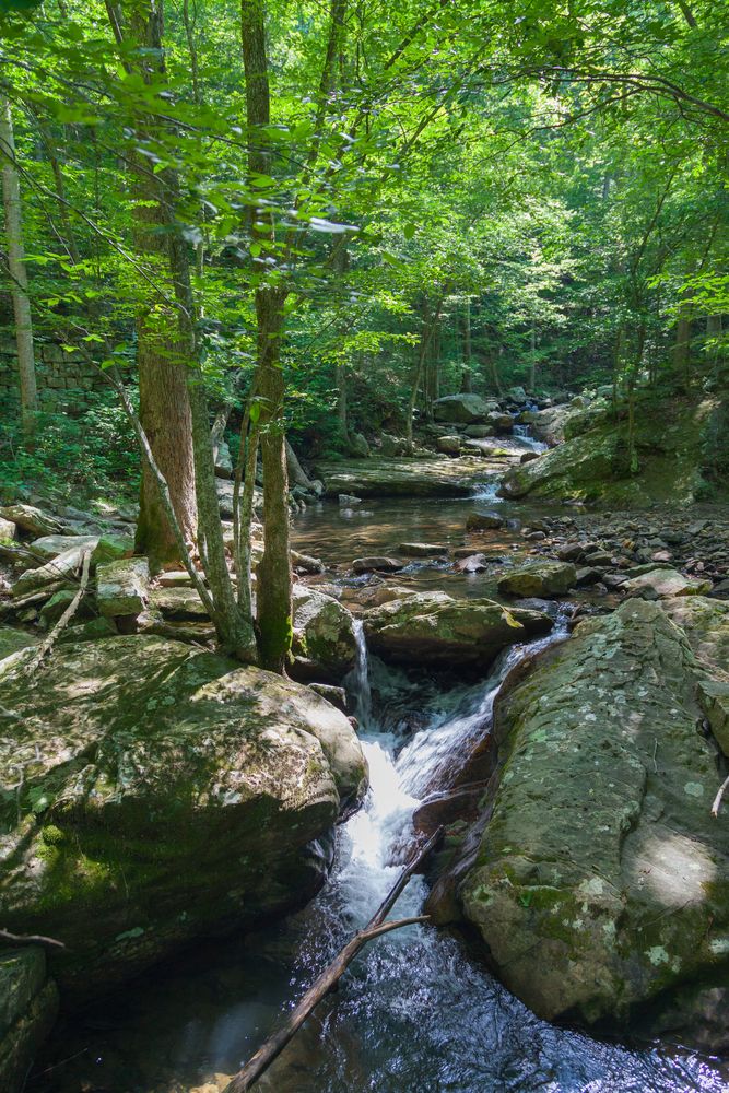 A stream at Laurel Snow State Natural Area