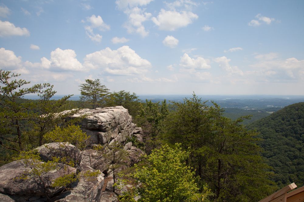 Scenic view from Laurel Snow State Natural Area's overlook