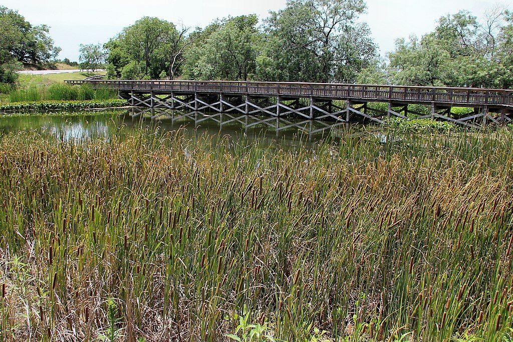 A long boardwalk at Cedar Hill State Park