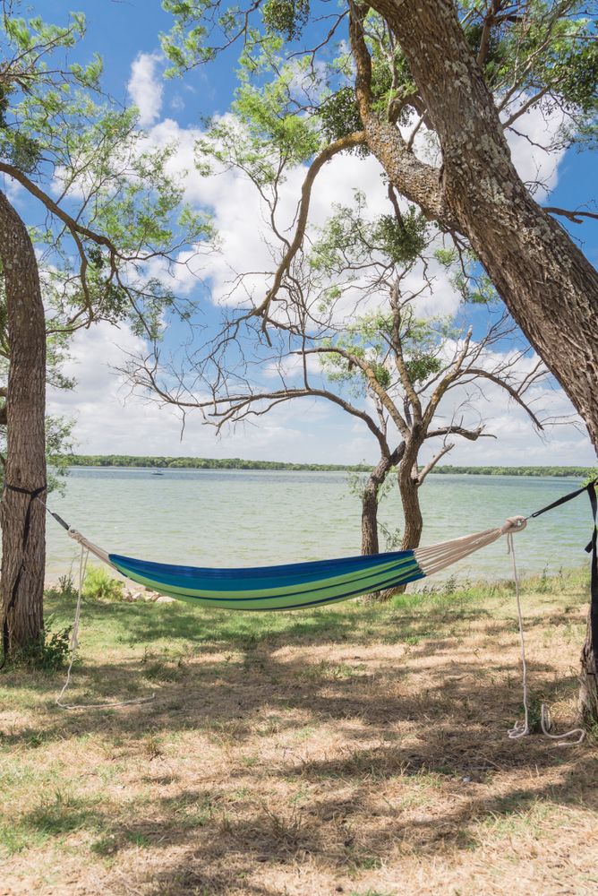 A hammock on a tree at Lynn Creek Park