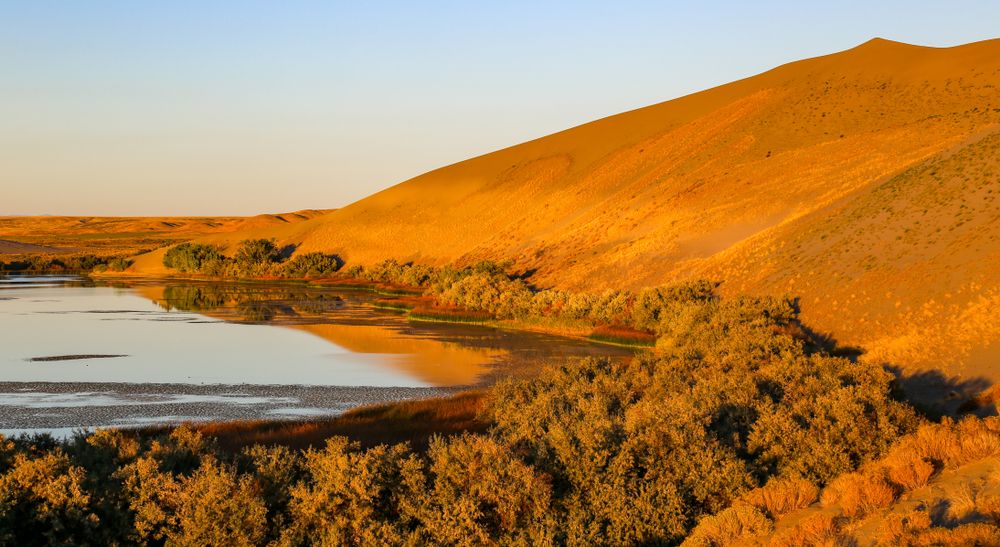 View of Bruneau Dunes State Park