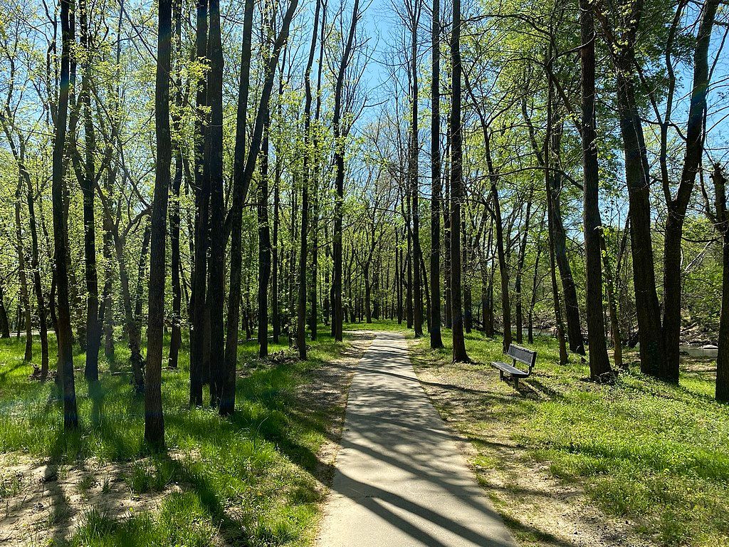 Trail at Dan Daniel Memorial Park