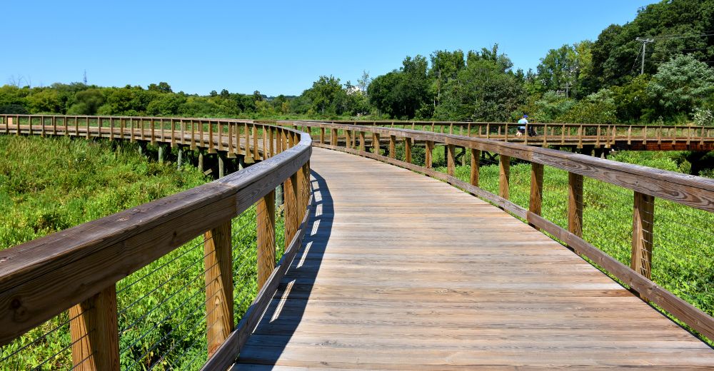 Walkway of Neabsco Creek Boardwalk