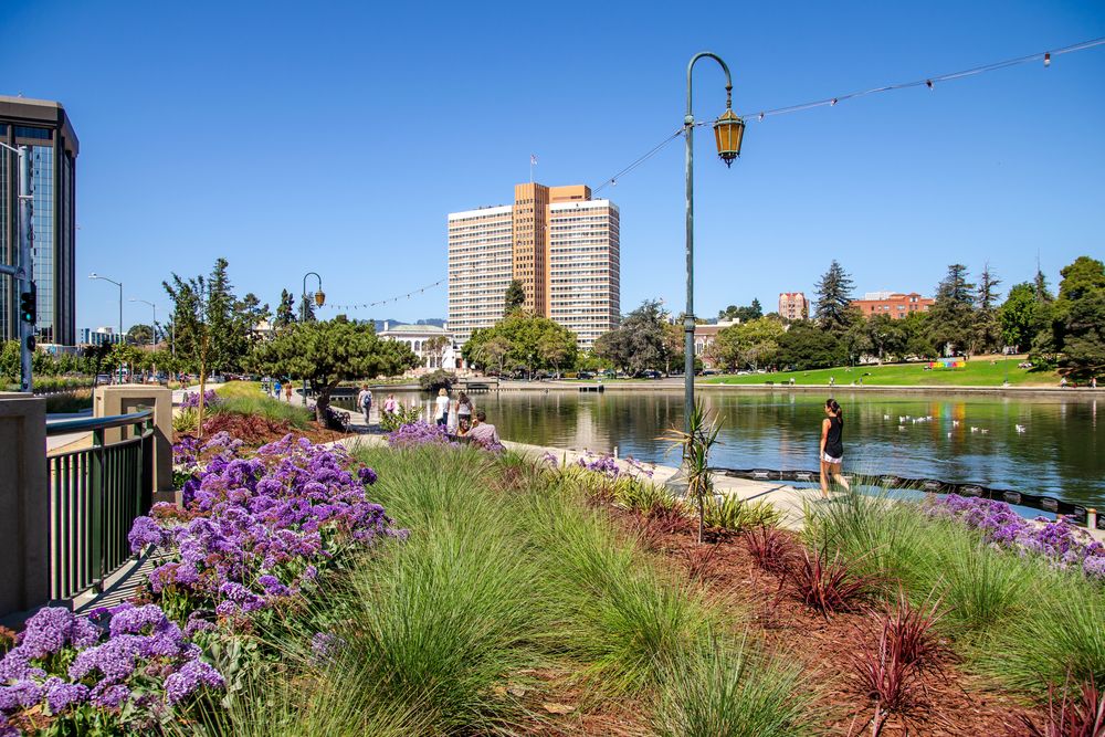 Flora at Lake Merritt lakeside park