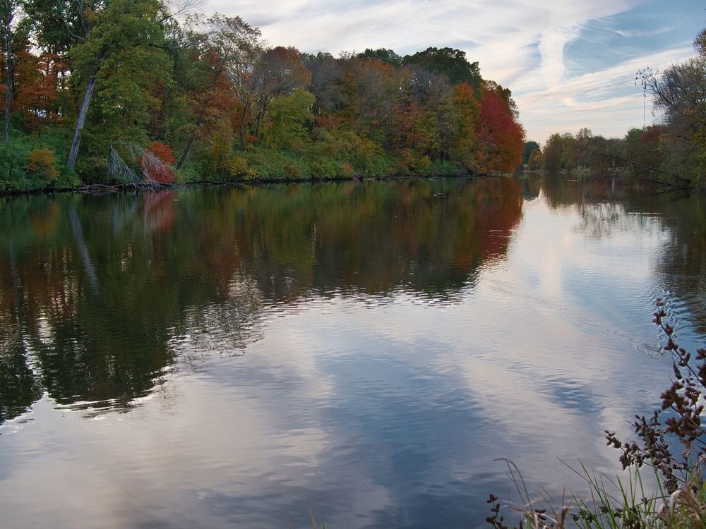 Tower lake at The Gardens