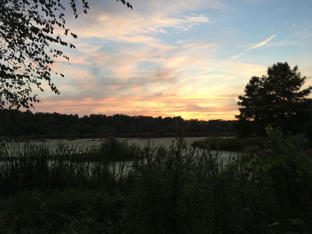 Scenic view at Watershed Nature Center