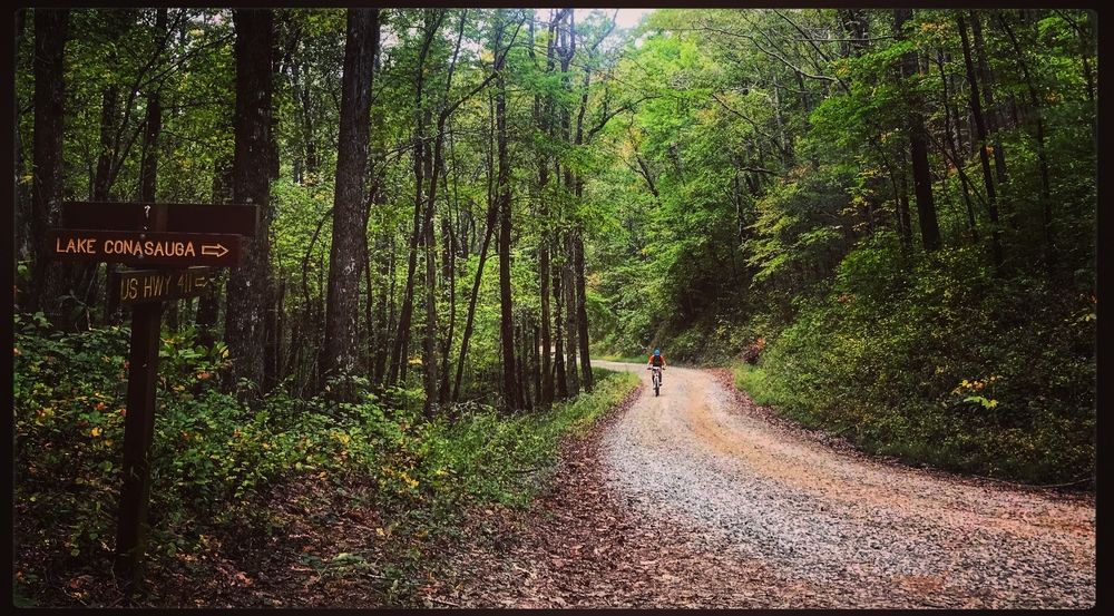 Bike trail at Mulberry Gap