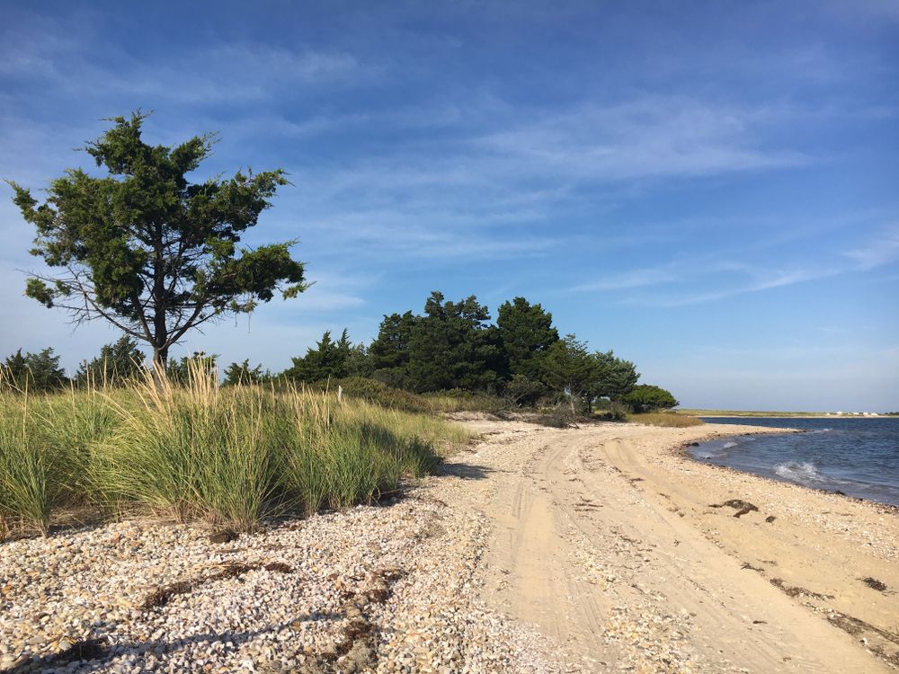 The beach of Cedar Point County Park