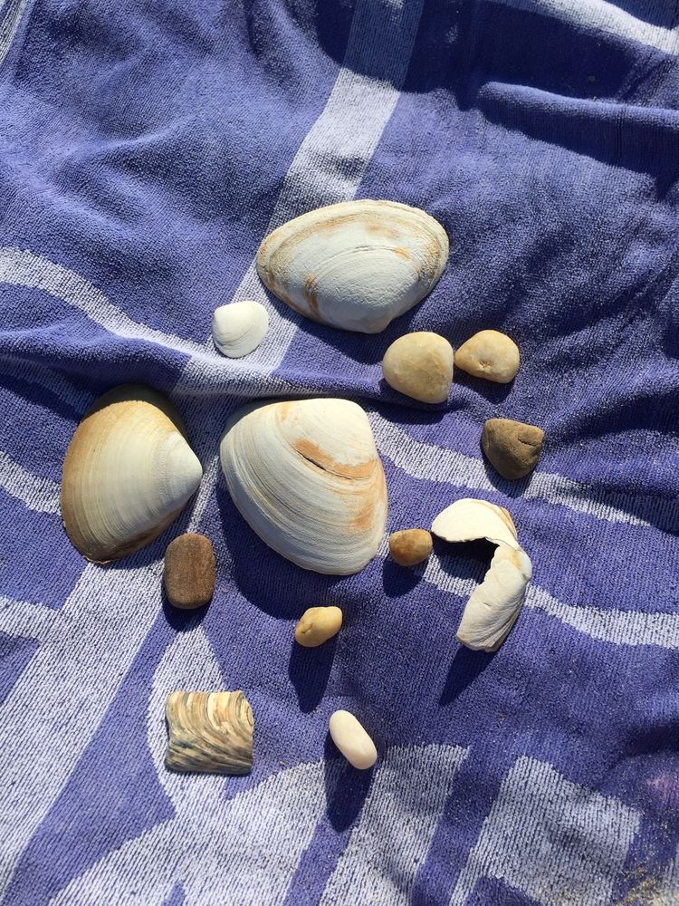 Seashells on a bath towel at East Hampton Main Beach