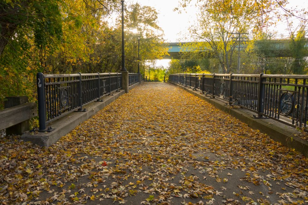 Trail with foliage at Great River Park