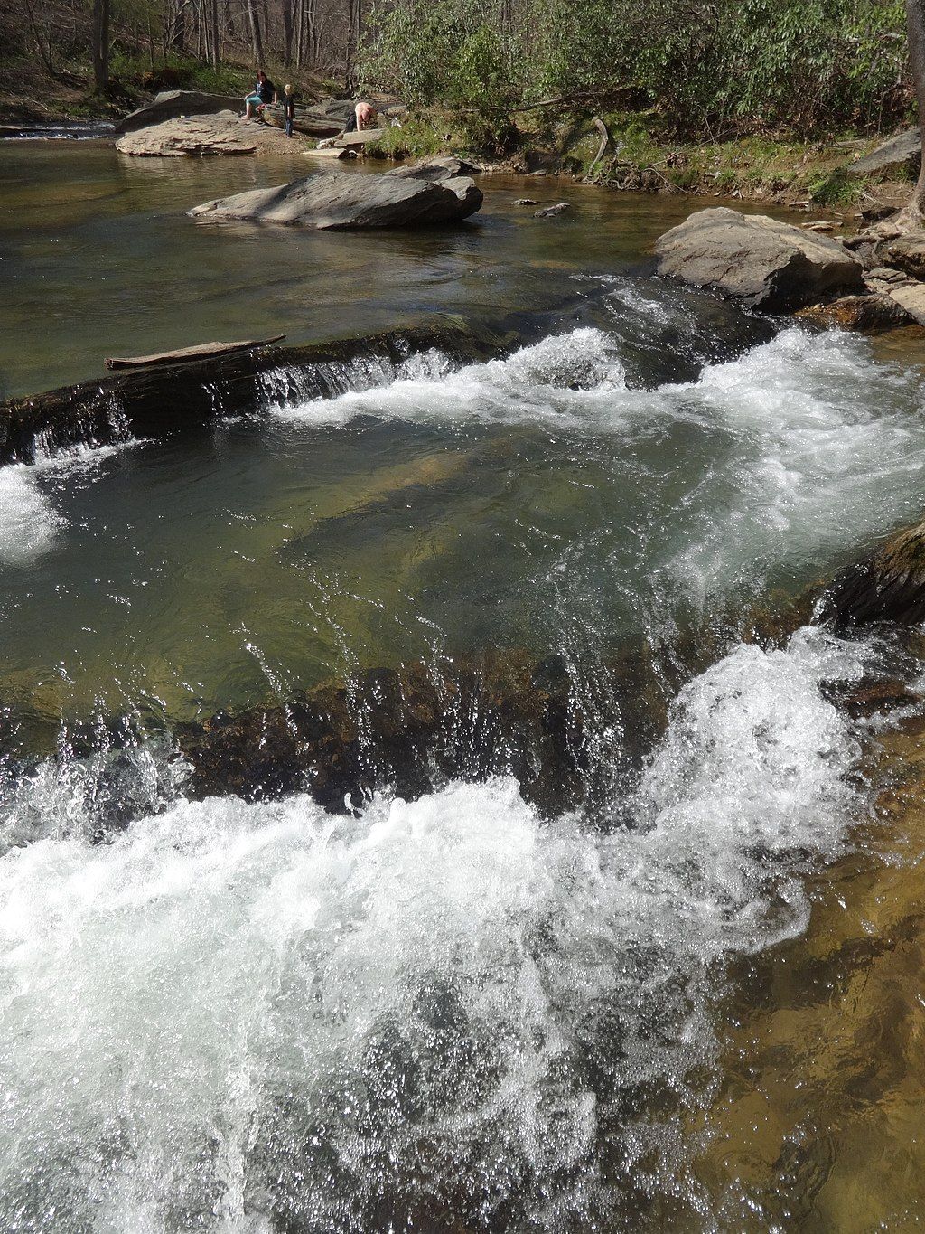 The waters of Morgan Run Natural Environment Area
