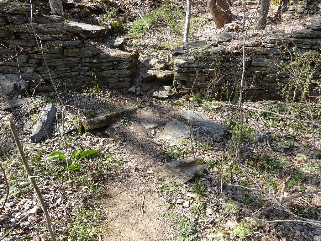 The grounds of Morgan Run Natural Environment Area