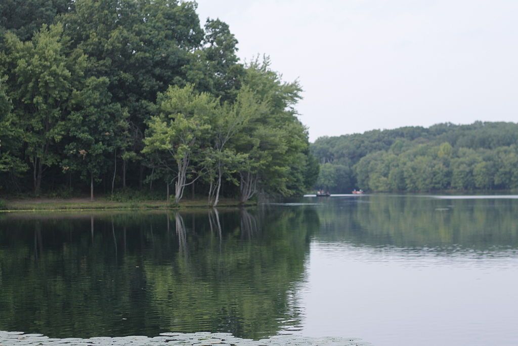 A lake at Piney Run Park