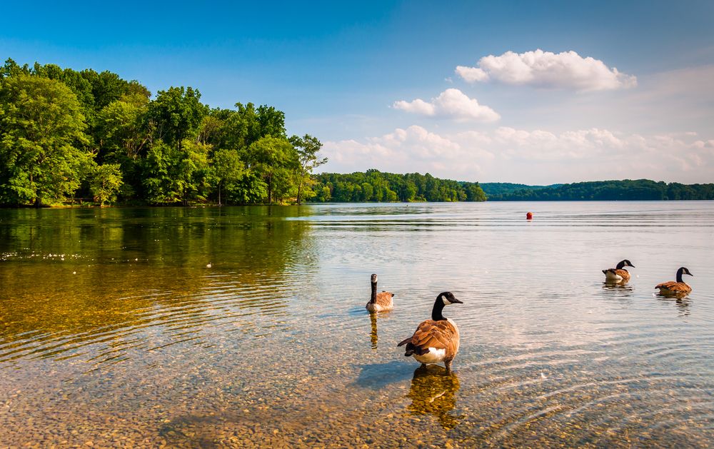 The waters of Loch Raven Reservoir