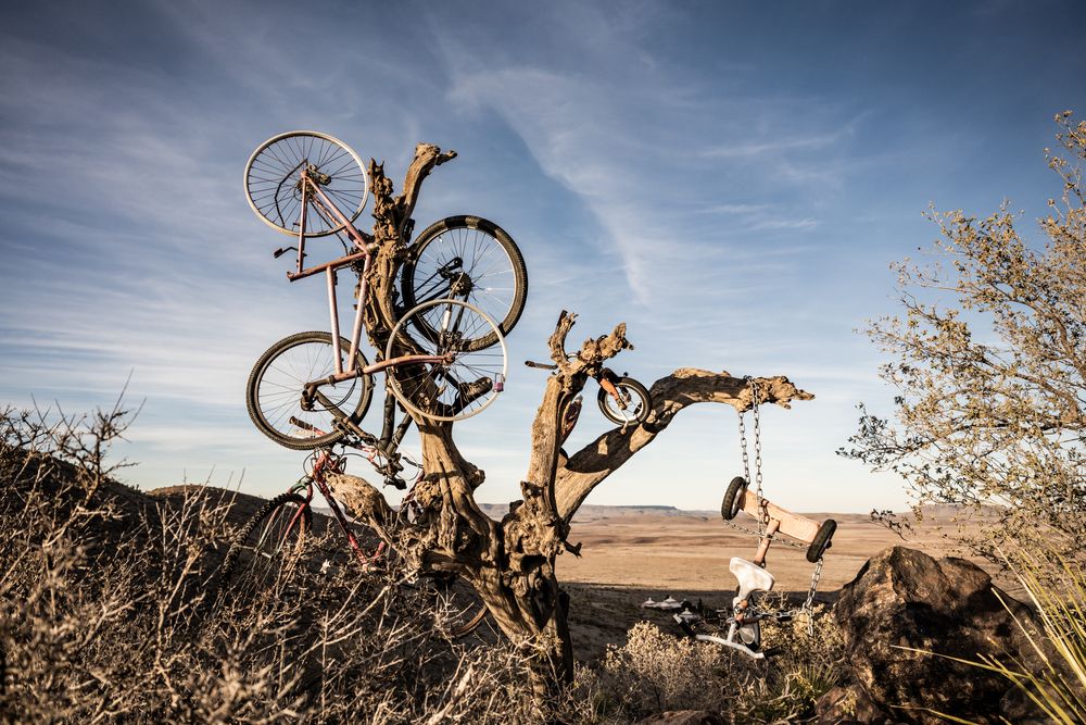 Bicycle Burial Ground on Tree in Hancock Hill