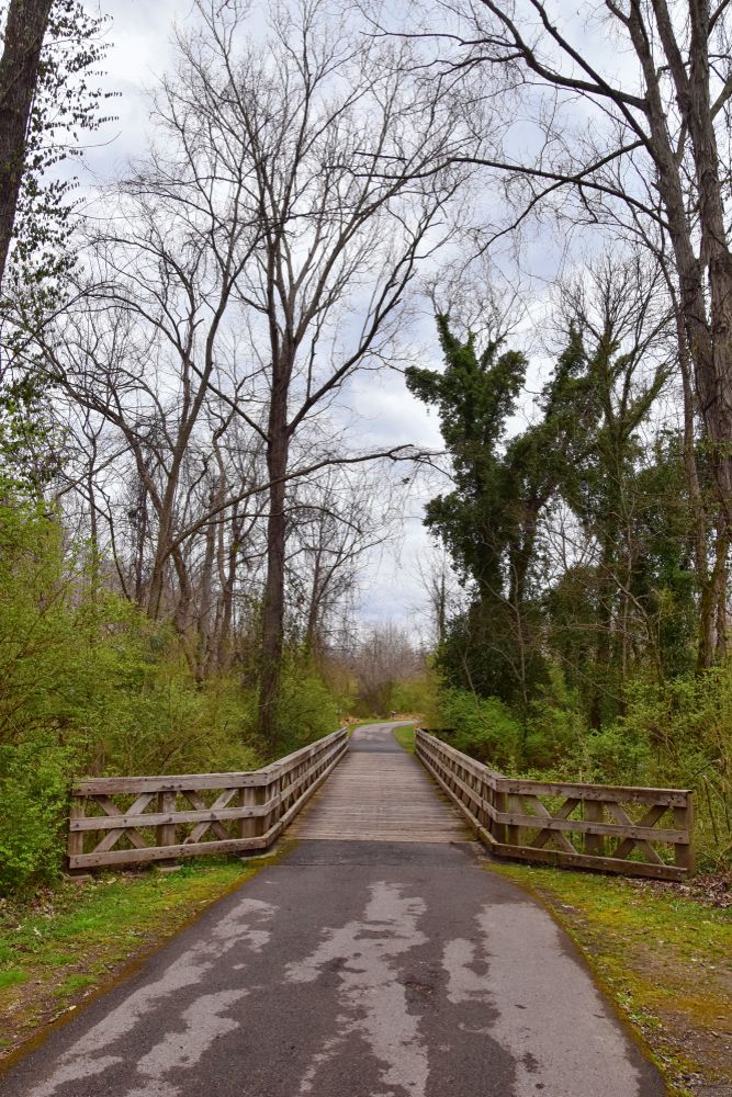 Wooden footbridge at Shelby Bottoms Greenway and Natural Area