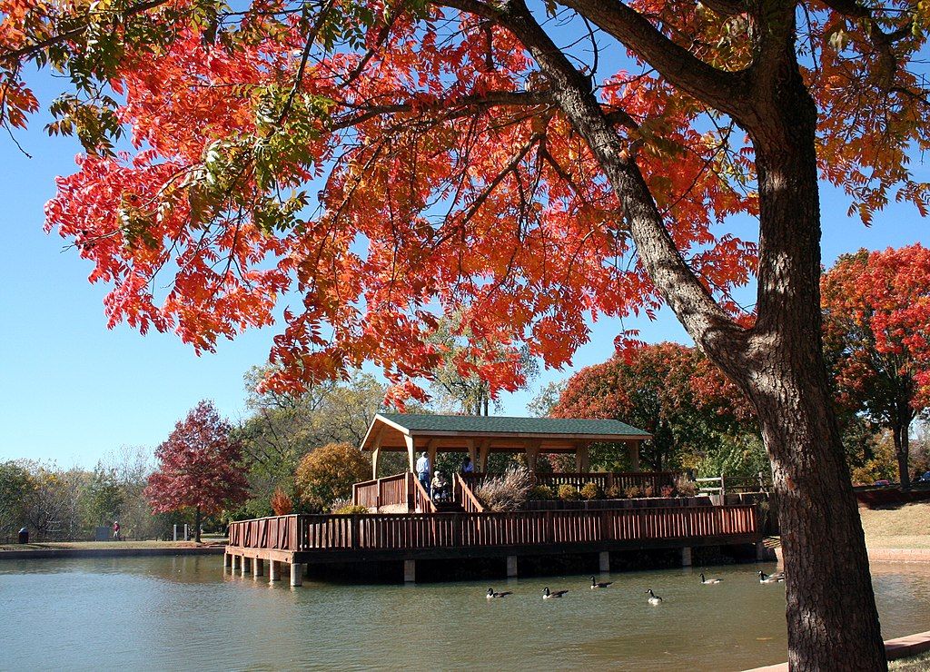 A pond at E.C. Hafer Park