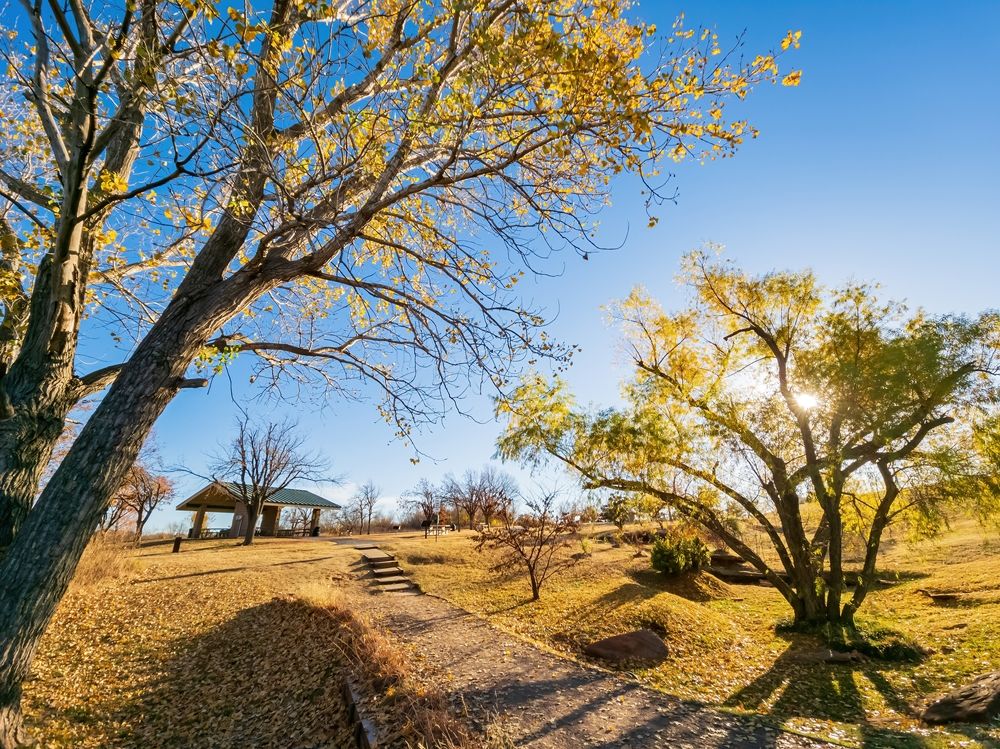 A trail at Mitch Park