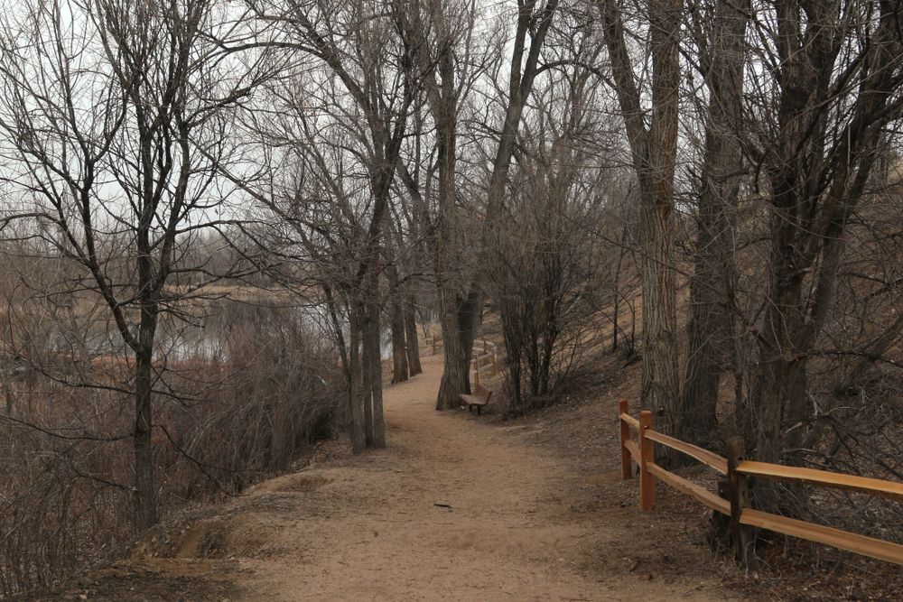 Hiking trail at Fountain Creek Regional Park