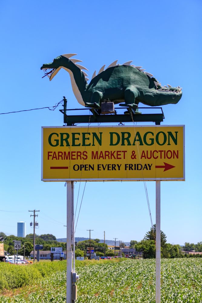 Welcome sign of The Green Dragon Market