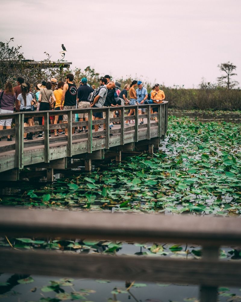 People on the Anhinga Trail