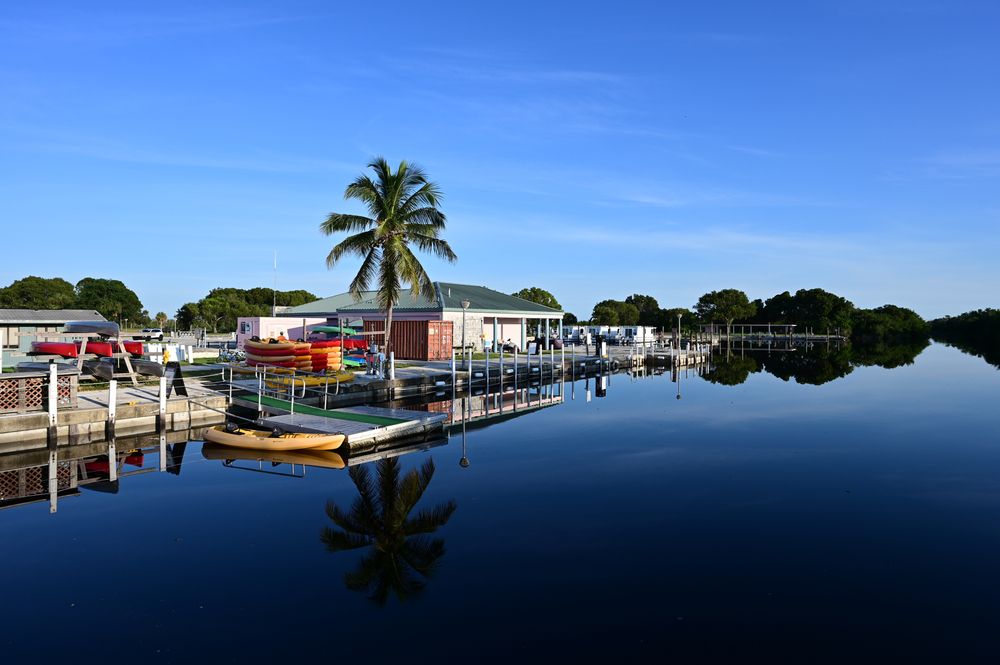 Daytime view of Flamingo Marina