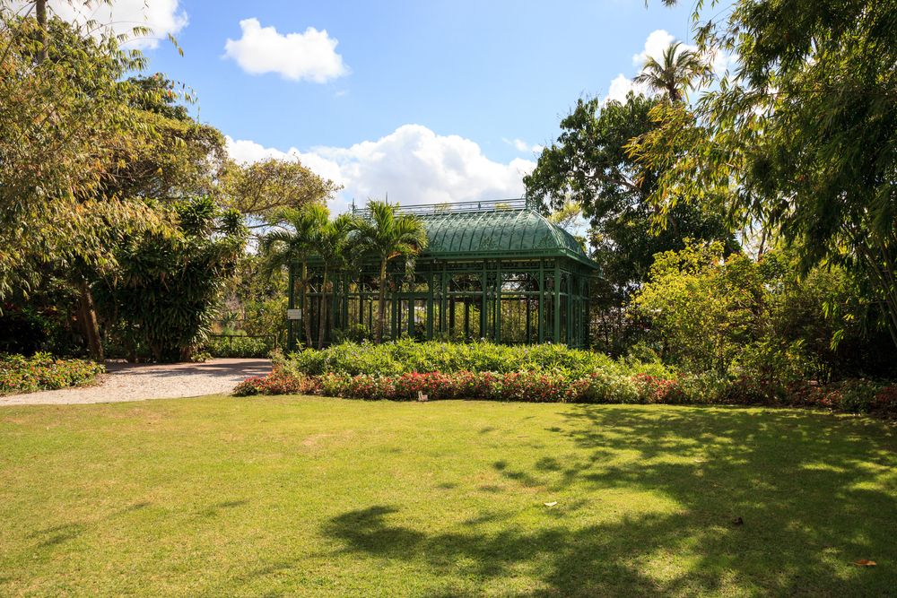 The grounds of Everglades Wonder Garden