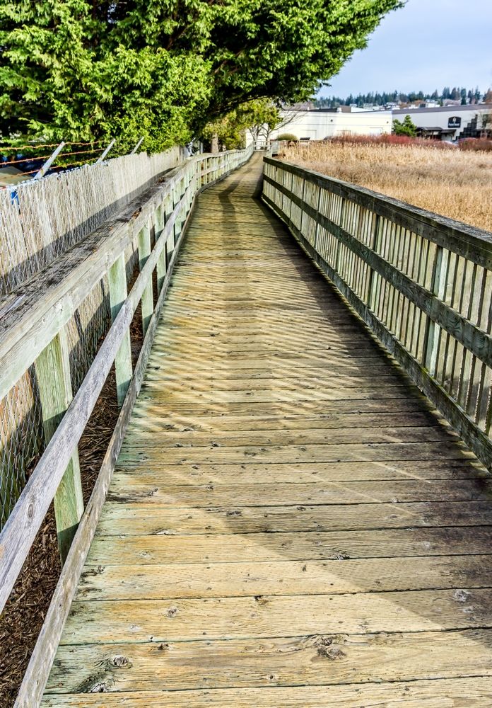 A boardwalk at Edmonds Marsh
