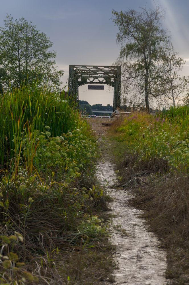 Trail at Spencer Island Park