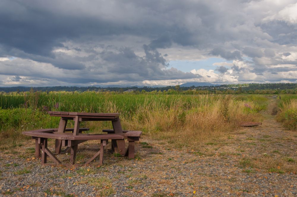 Picnic table on the grounds of Spencer Island Park