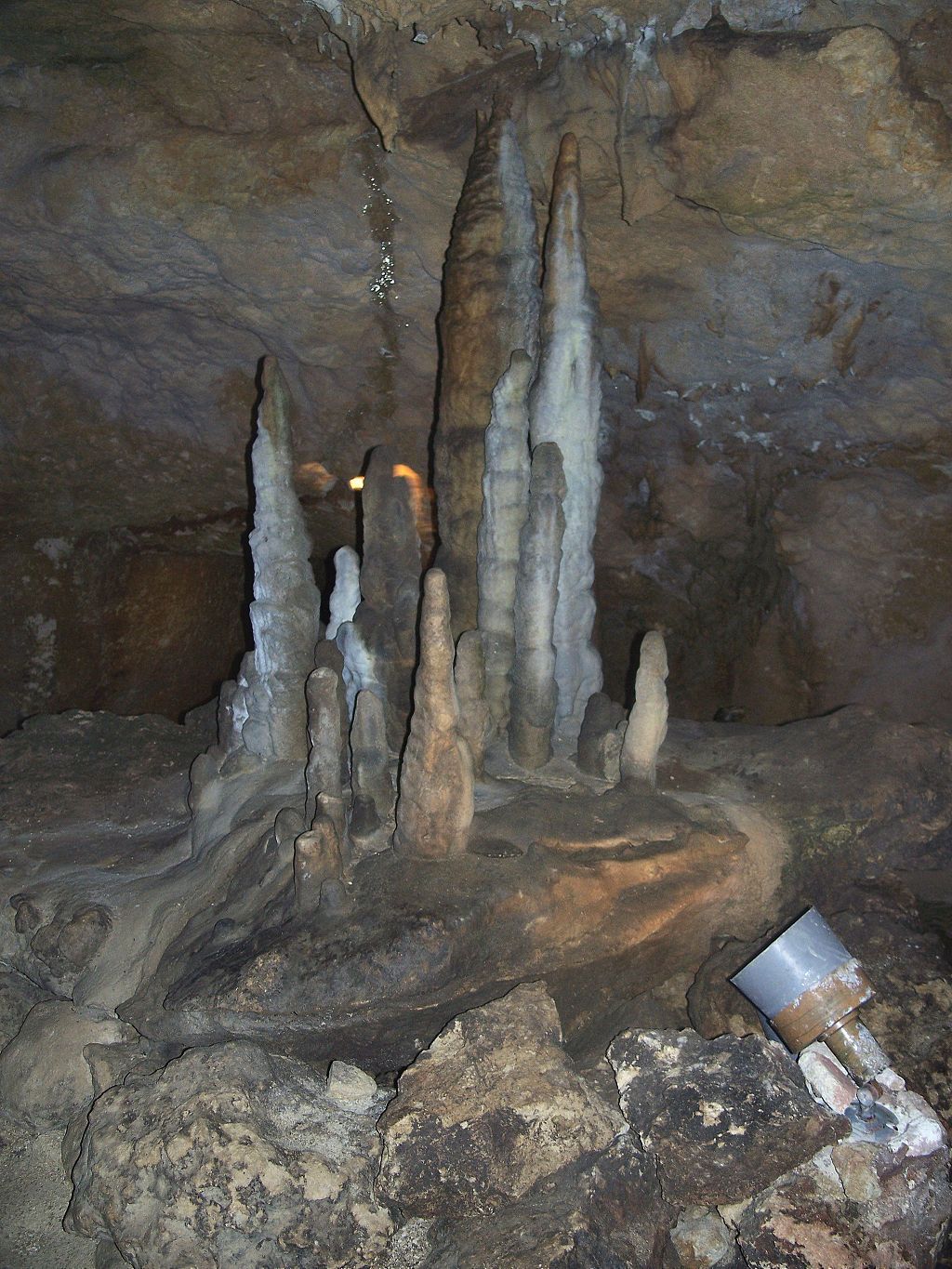 Stalactites in Florida Caverns State Park