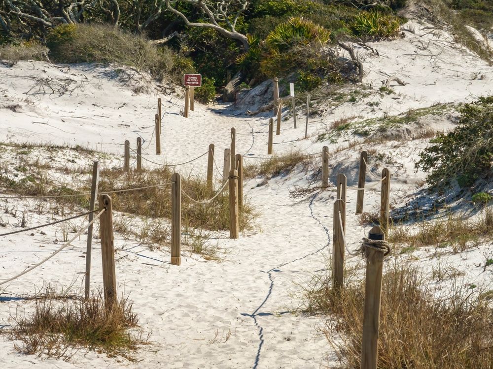 Sand dunes of Grayton Beach State Park