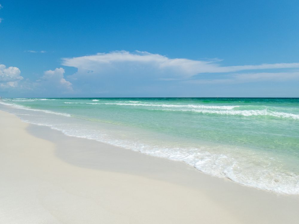 Sunny day at Henderson Beach State Park