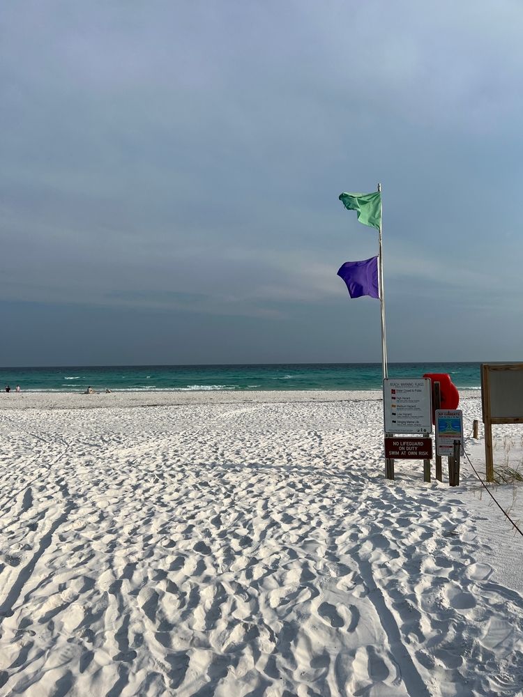 Fine sands of Henderson Beach State Park